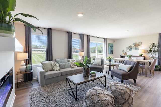 living room with a textured ceiling, a healthy amount of sunlight, and wood-type flooring