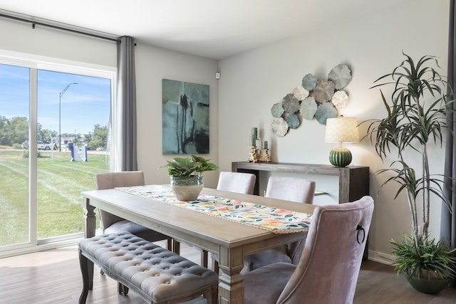 dining room with a wealth of natural light and hardwood / wood-style floors