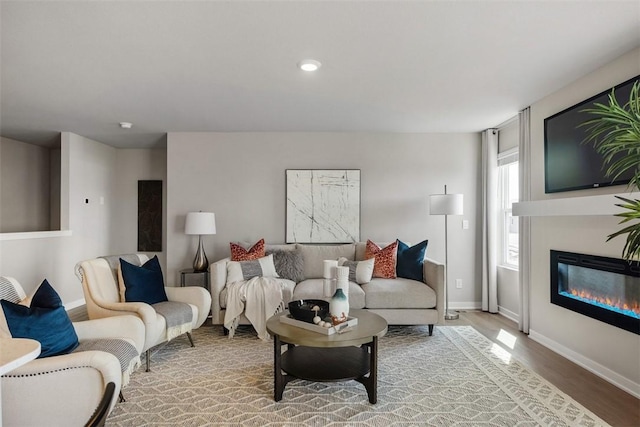 living room with hardwood / wood-style flooring