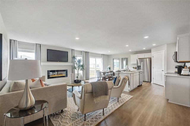 living room featuring sink and light hardwood / wood-style flooring