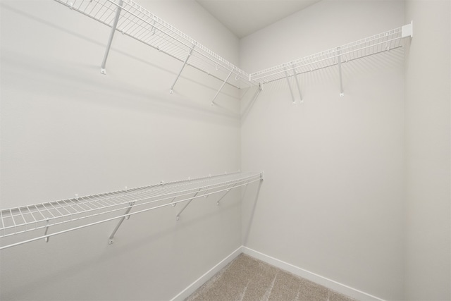 spacious closet featuring carpet flooring