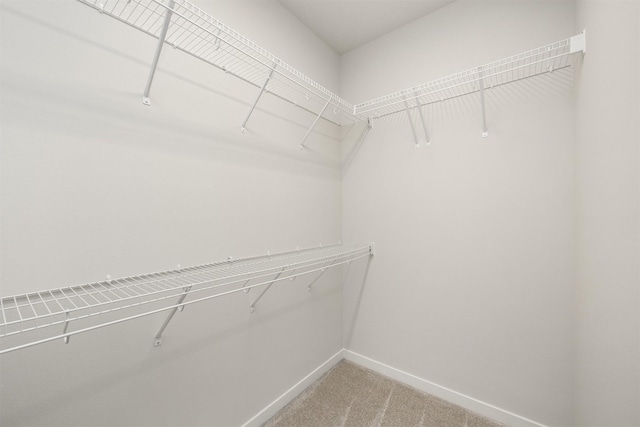 9042 Mockingbird Dr, West Des Moines, IA 50266 - spacious closet featuring light carpet