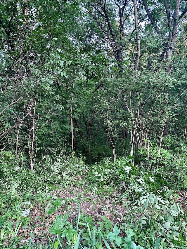 LOT14 Forest Ln, Van Meter IA, 50261 land for sale