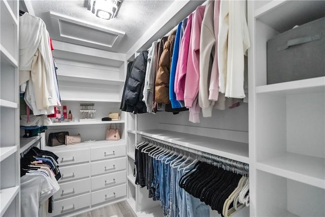 spacious closet featuring attic access and light wood-style flooring