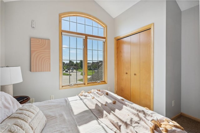 bedroom featuring vaulted ceiling, carpet floors, multiple windows, and a closet