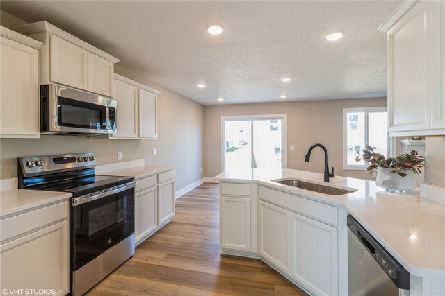 kitchen with light hardwood / wood-style floors, sink, stainless steel appliances, and plenty of natural light