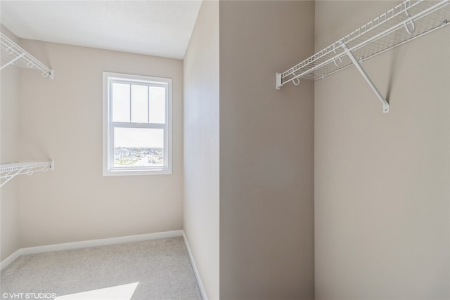 spacious closet featuring carpet floors