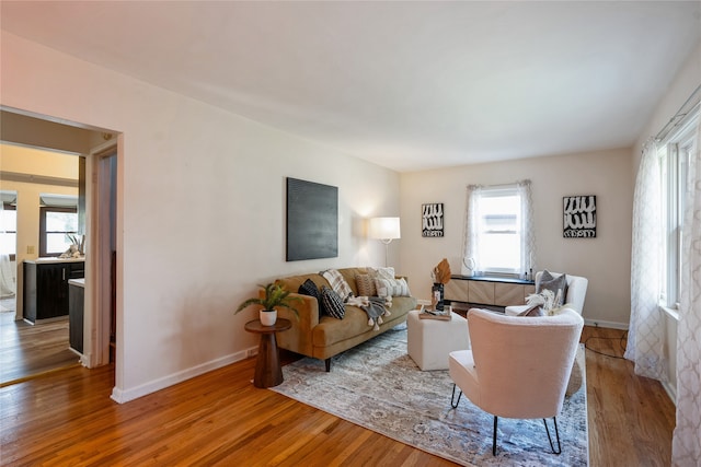 living room featuring hardwood / wood-style floors