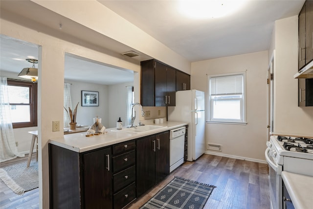 kitchen with light wood-type flooring, plenty of natural light, white appliances, and sink