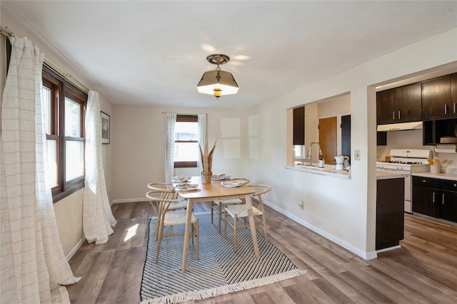 dining space with sink, a wealth of natural light, and hardwood / wood-style floors