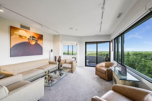 carpeted living room with rail lighting