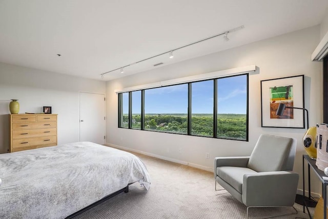 bedroom featuring carpet and track lighting