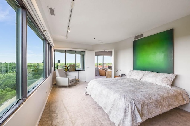 bedroom featuring light carpet and rail lighting