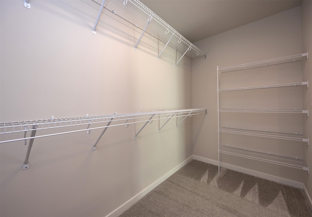 spacious closet with carpet