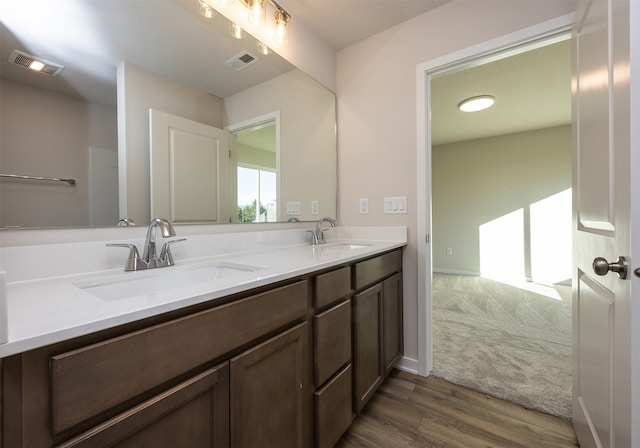 bathroom with vanity and wood-type flooring