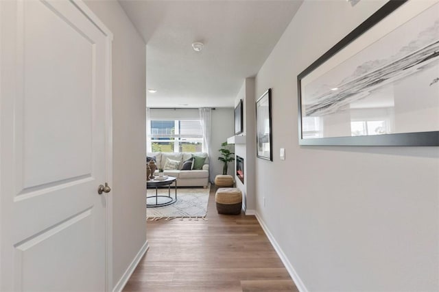 corridor with hardwood / wood-style floors