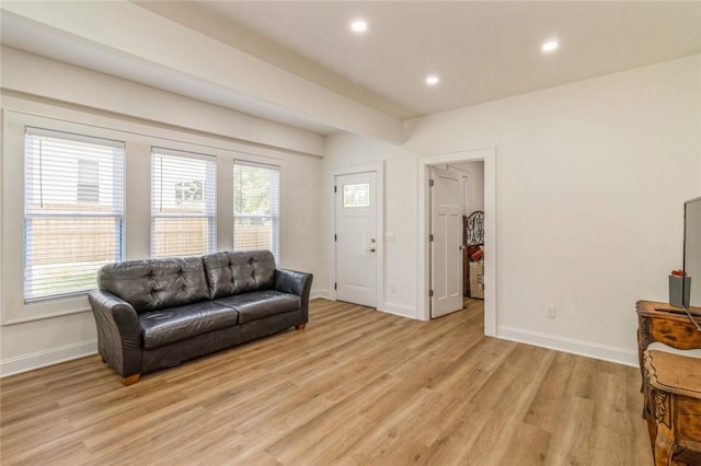 living room featuring light hardwood / wood-style floors and a healthy amount of sunlight