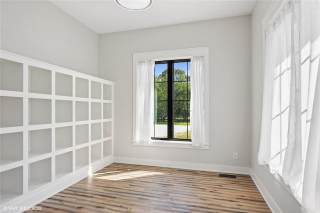 unfurnished room featuring a wealth of natural light and wood-type flooring