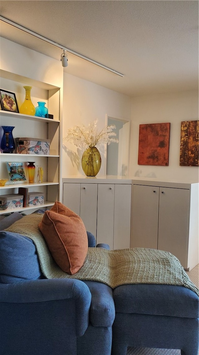 living room featuring rail lighting