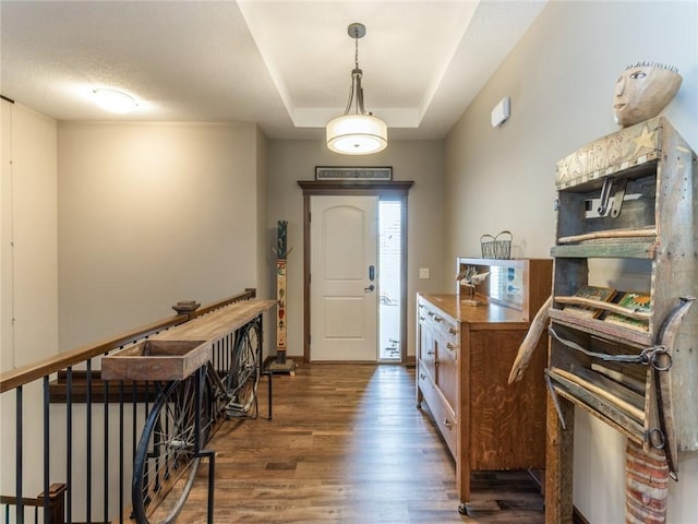 entrance foyer with a raised ceiling and dark hardwood / wood-style floors