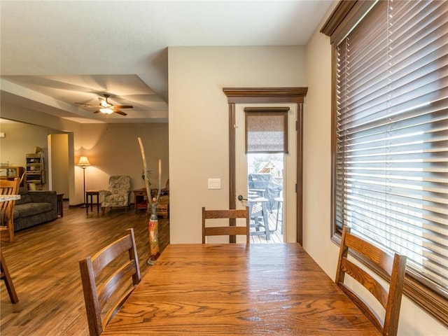 dining room featuring ceiling fan, a healthy amount of sunlight, and hardwood / wood-style floors