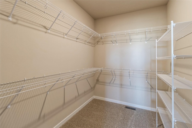 walk in closet featuring carpet flooring