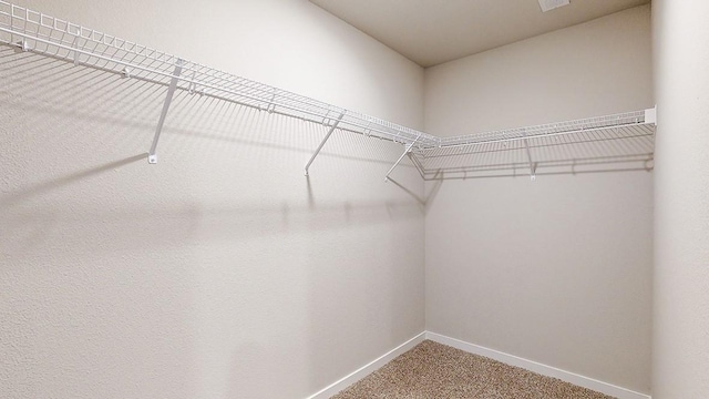 walk in closet featuring carpet floors