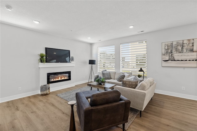 living room with wood-type flooring