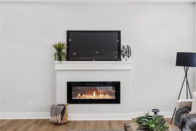 room details featuring hardwood / wood-style floors