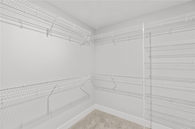 spacious closet with carpet floors