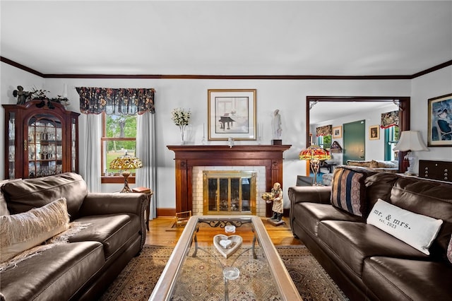 living room with ornamental molding, a fireplace, and wood finished floors