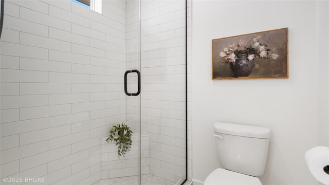 full bathroom featuring a shower stall and toilet