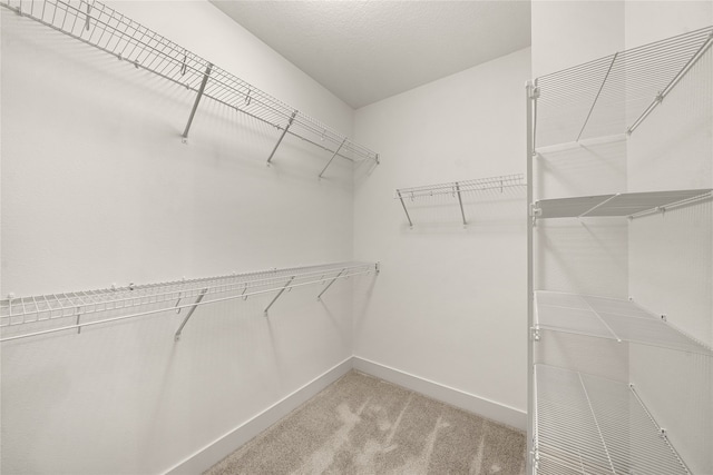 walk in closet featuring light colored carpet