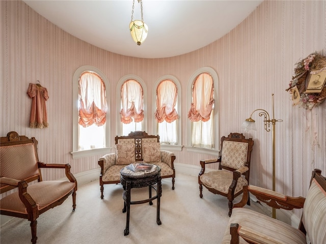 sitting room with carpet flooring