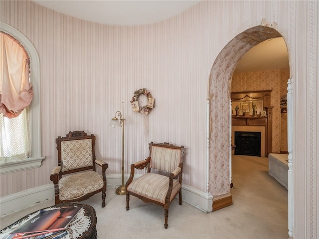 sitting room with carpet flooring