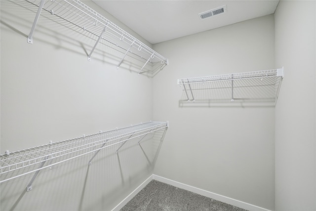 spacious closet with carpet flooring