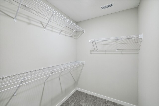 walk in closet featuring carpet floors and visible vents