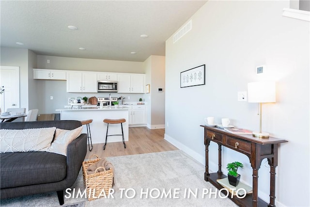 living room with light hardwood / wood-style flooring