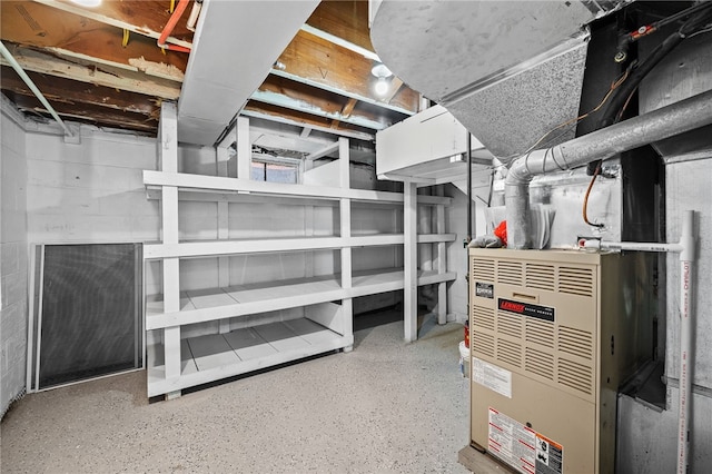 basement with heating unit