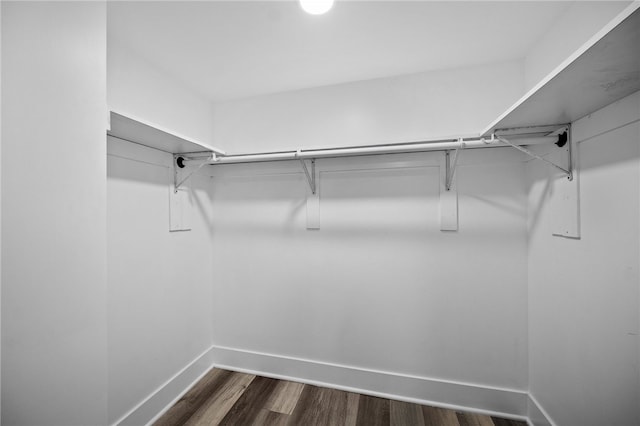 walk in closet featuring dark hardwood / wood-style flooring