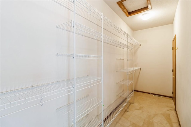 walk in closet with light colored carpet