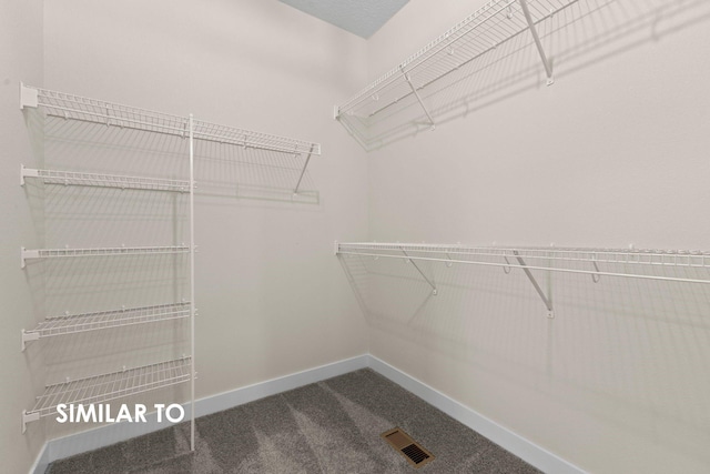 walk in closet with carpet floors