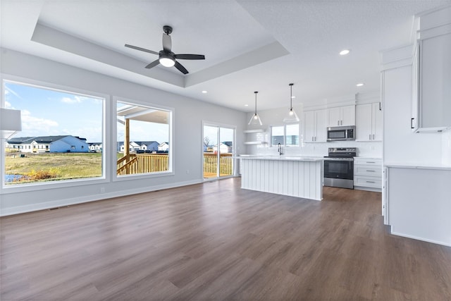 kitchen with appliances with stainless steel finishes, white cabinets, hanging light fixtures, a center island, and a raised ceiling