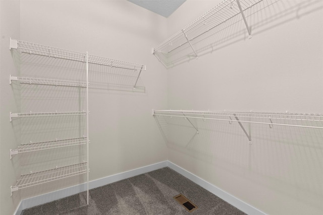 spacious closet with carpet