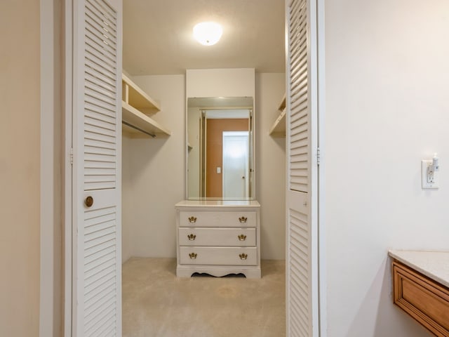 spacious closet featuring light colored carpet