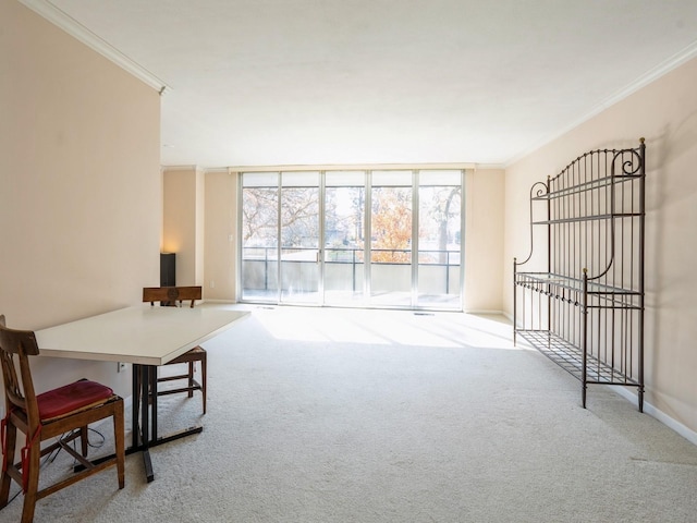 interior space featuring carpet and ornamental molding