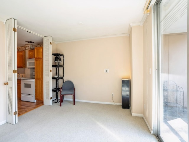 interior space with crown molding