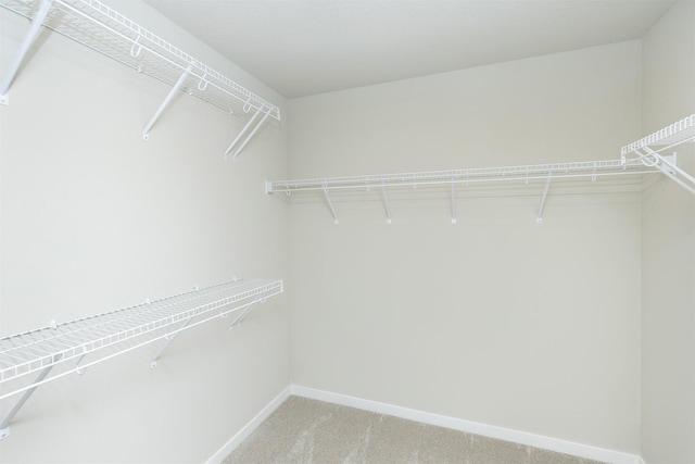 6570 NE 11th Ct, Des Moines, IA 50313 - walk in closet with light carpet