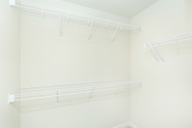 view of walk in closet