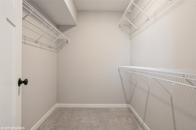 spacious closet featuring carpet